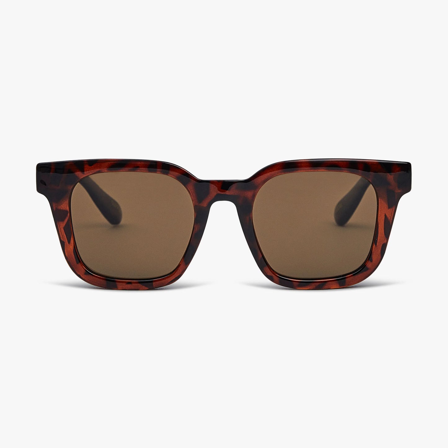 Local Supply BKK- Tort Brown