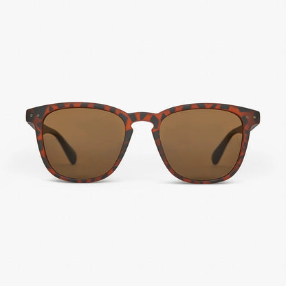 SYD- Tort Brown