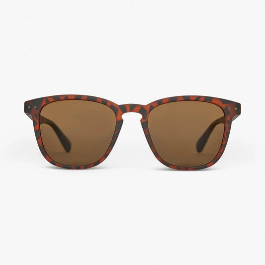 SYD- Tort Brown